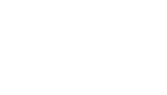 Leadzenix